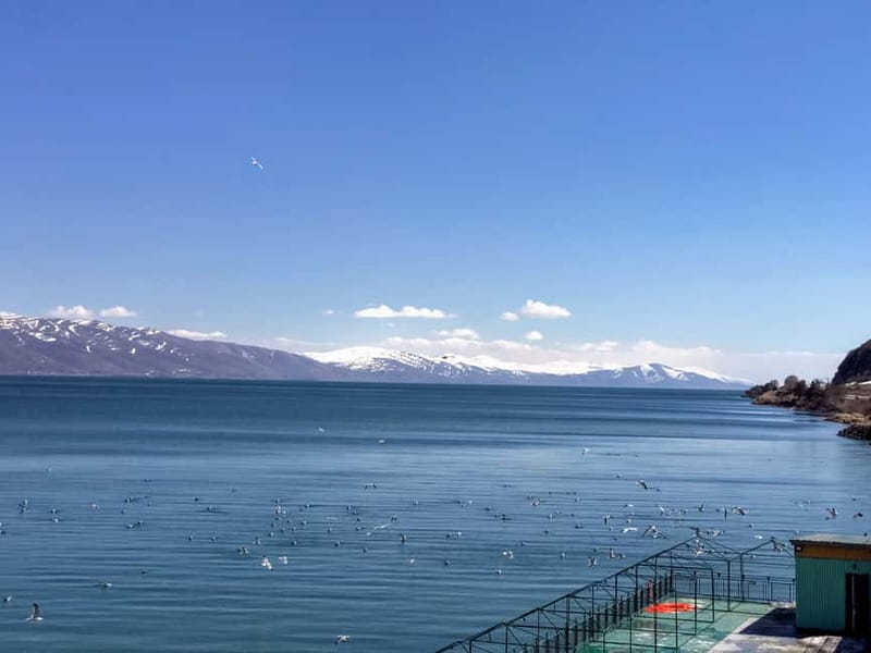 From Tbilisi: Dilijan & Sevan Lake Full-Day Tour to Armenia - Lake Sevan: lunch, fresh fish, and open water