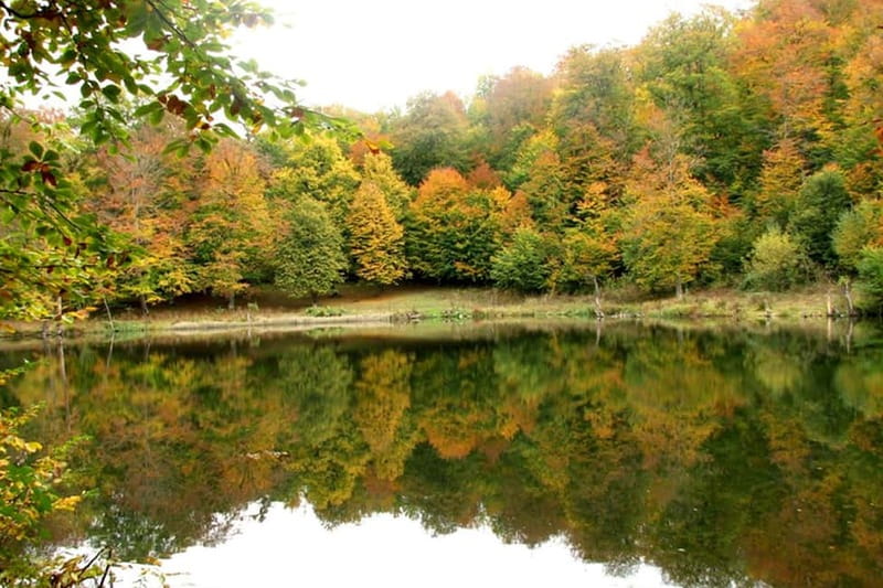 Group Tour: Dilijan, Parz Lake, Makaravank, wine factory - Key things to know before you go