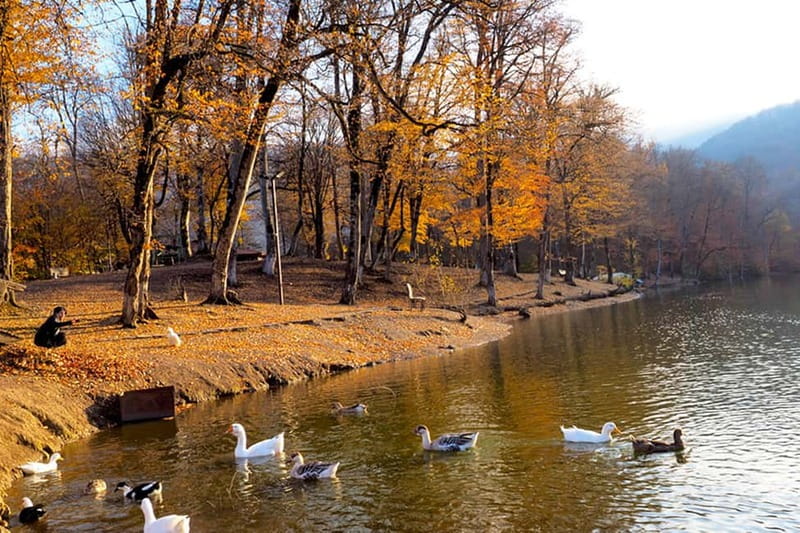 Group Tour: Dilijan, Parz Lake, Makaravank, wine factory - Makaravank and its medieval carvings