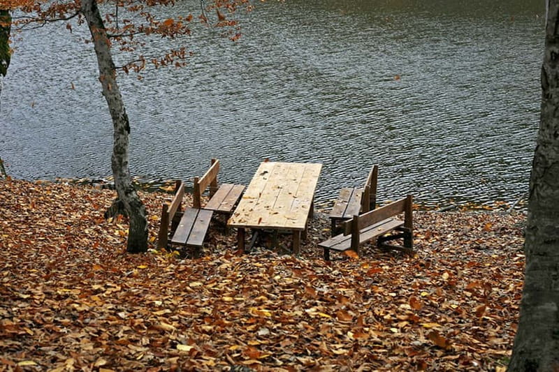 Group Tour: Dilijan, Parz Lake, Makaravank, wine factory - The bakery stop and the final tasting