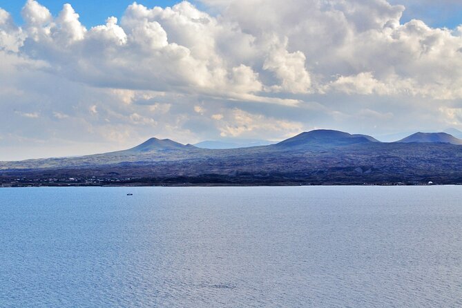 Lake Sevan & Dilijan Guided Day Trip with Ijevan Wine Tour - Dilijan: a quick look at Armenia’s forest town
