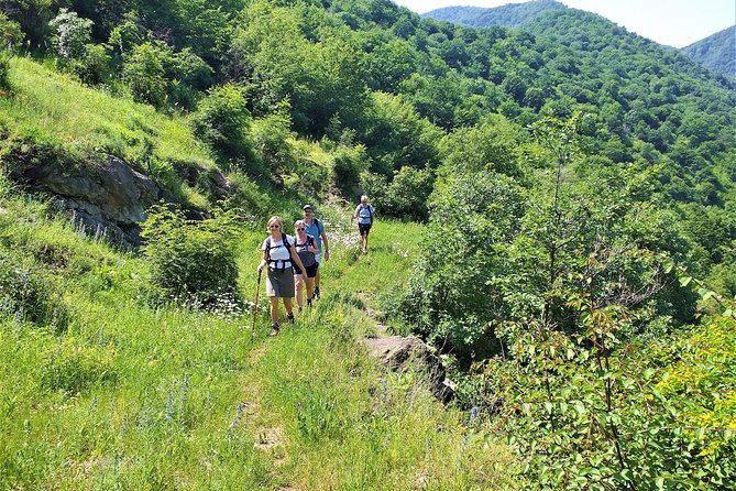 Lori Canyon Vacations - Day Two: Hiking Above the Debed Valley