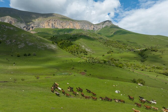 Off Road Tour to Dimats Mount Dilijan Armenia - Starting in Dilijan, Not Yerevan