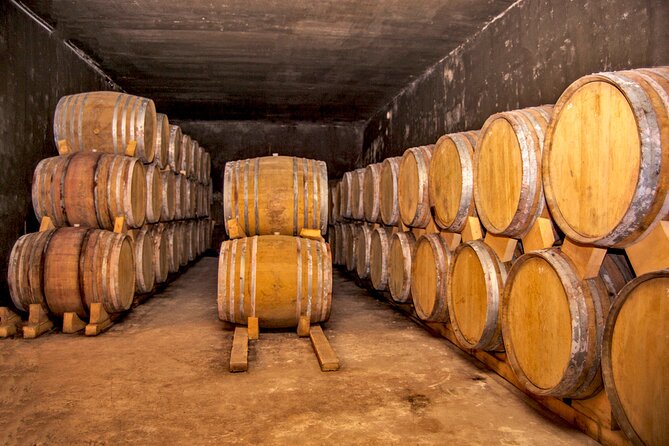 Private tour to Hin Areni winery, Shaki waterfall, Tatev monastery, Karahunj - Wings of Tatev across the Vorotan gorge