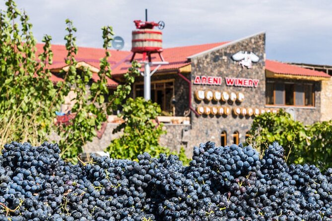 Private Tour to Khor Virap, ancient Areni cave or Areni winery, Noravank - Areni wine country and the ancient cave