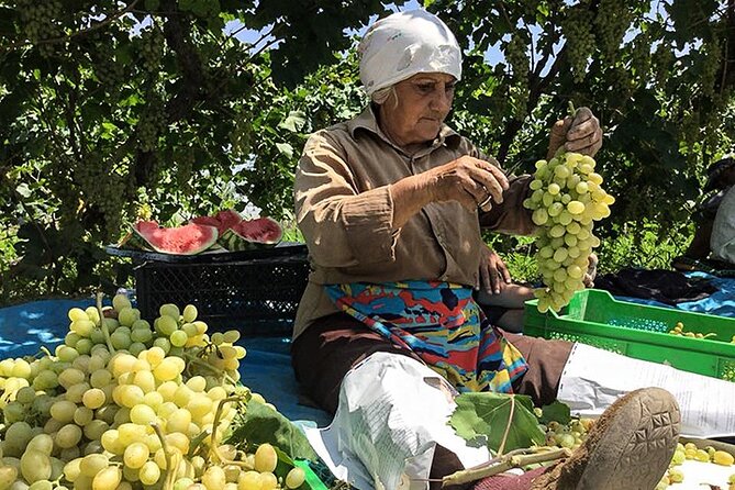 Private tour to Khor Virap, Ararat view - What the private format really adds