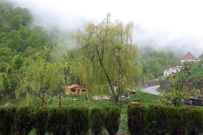 Private Tour: Tsaghkadzor, Sevan lake,Sevanavank, Dilijan, Haghartsin monastery - Dilijan, the forest town called Little Switzerland