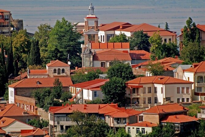 Private transfer from Yerevan to Tbilisi or Vice Versa - Communication and support before departure
