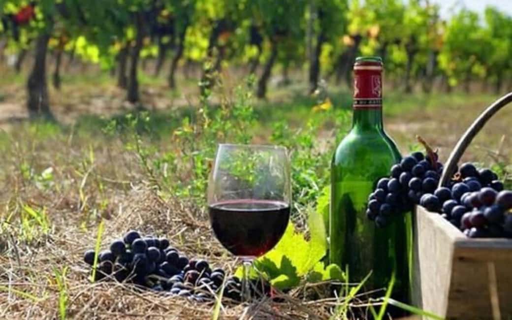 Private Trip: Tatev Ropeway-Shaki Waterfall-Wine Degustation - Key points to know before booking