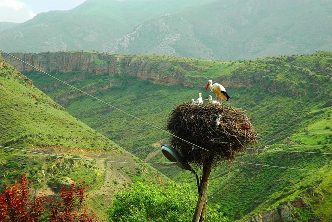 The Great Beauty of Armenia: 7-Day Culture and Cuisine Tour - Day 7: Vernissage and Armenian food gifts