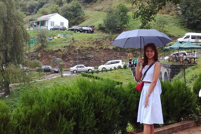 Transfer from Yerevan to Tbilisi with 2 sightseeing stops - Comfort, timing, and who should book