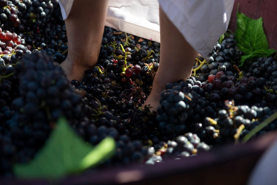 Yerevan: Khor Virap Day Trip with Mount Ararat Wine Tasting - Key points at a glance