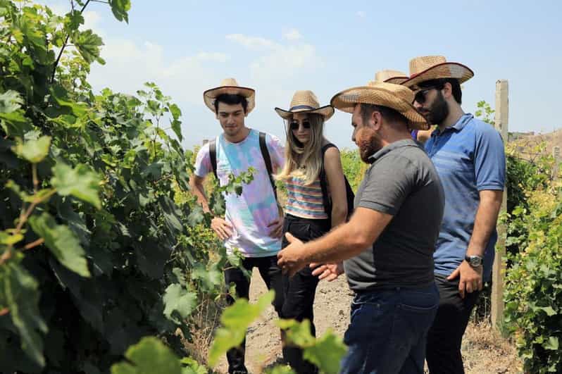 Yerevan: Khor Virap Day Trip with Mount Ararat Wine Tasting - Armenian wine in the fields, not just a tasting room