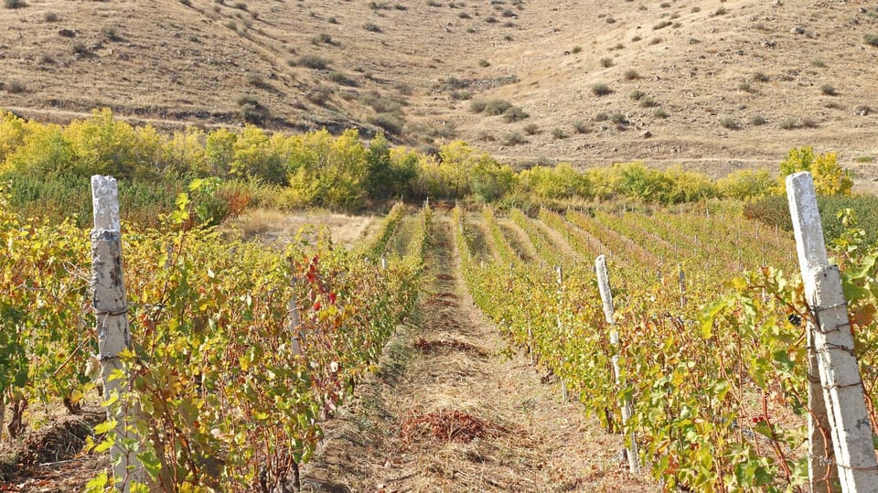 Yerevan: Khor Virap Day Trip with Mount Ararat Wine Tasting - Who should book this experience?